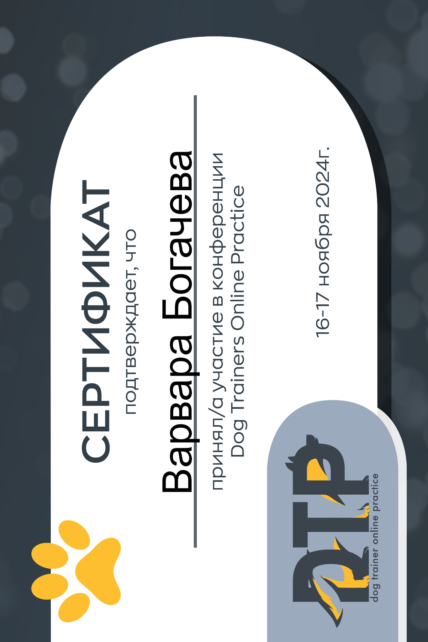Конференция DTP 2024